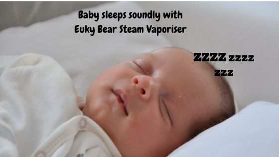 Euky bear Steam Vaporiser