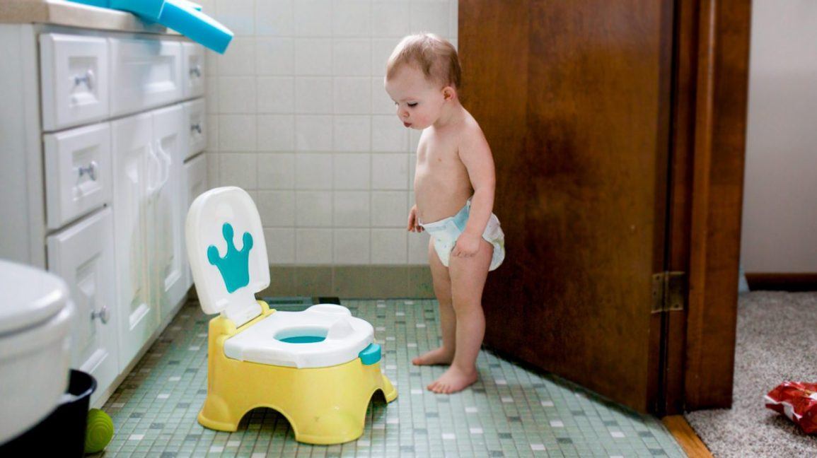 Toilet training for toddlers 1 Toilet training for toddlers