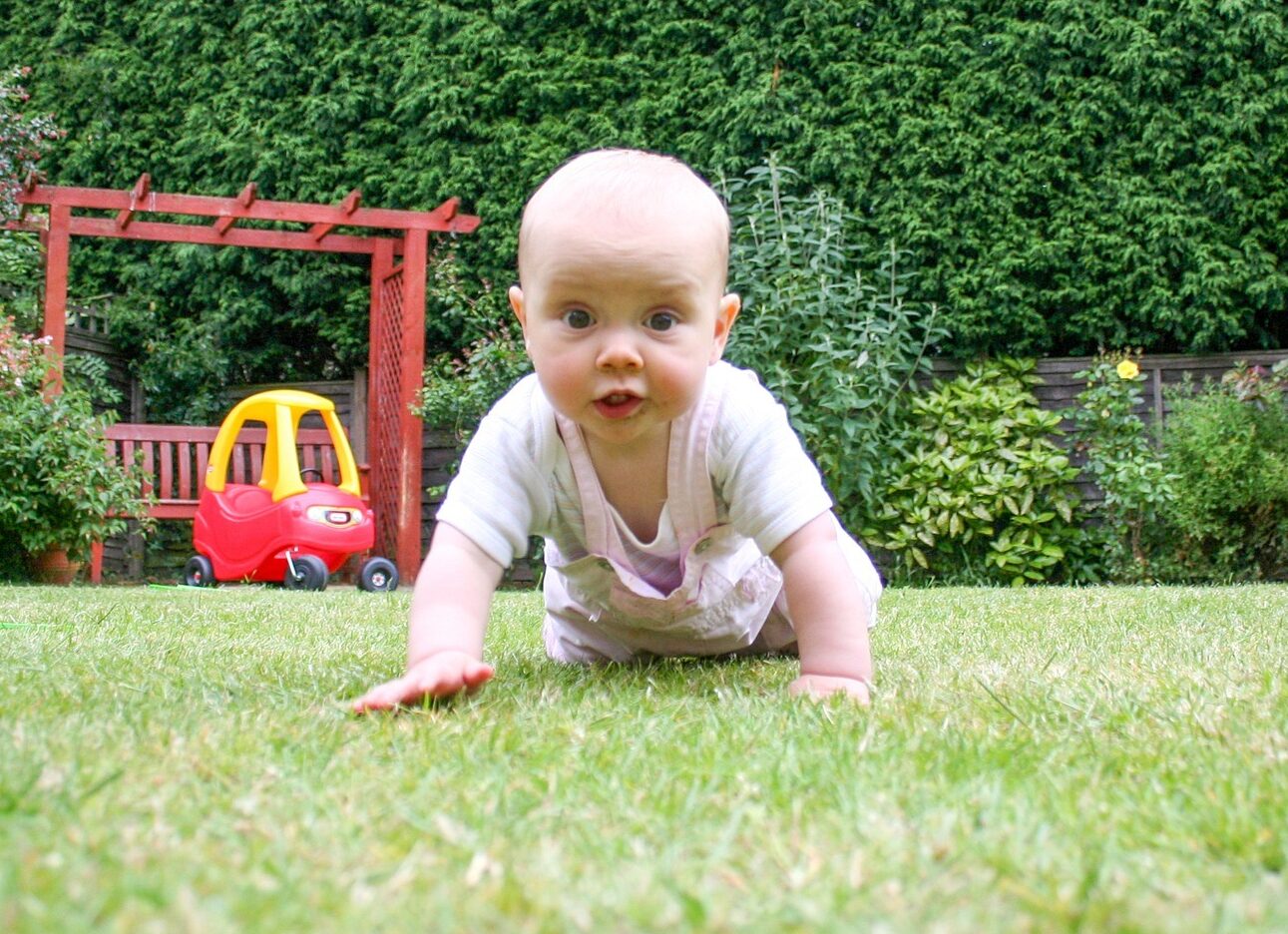 A baby development chart