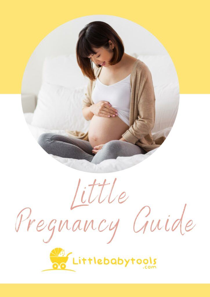 Little Pregnancy Guide ebook cover